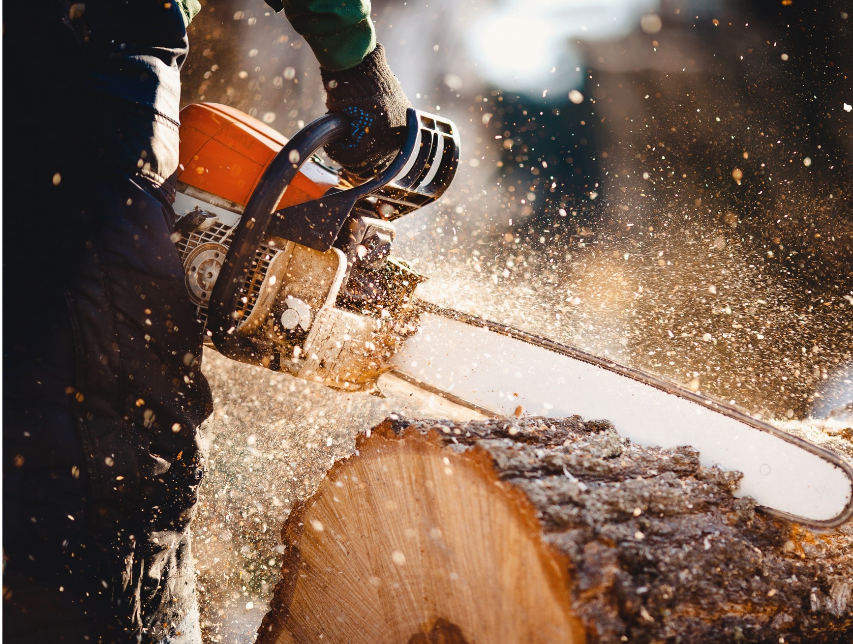 arborist using chainsaw to cut tree trunk